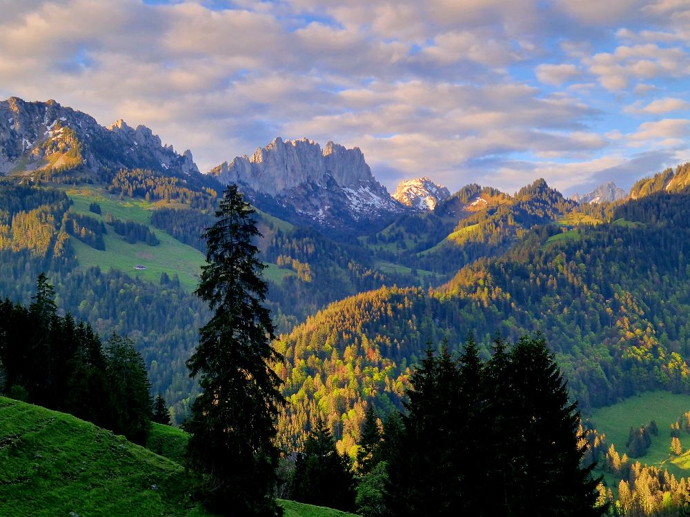 1.%20Aufstieg%20am%20Anfang 1.%20Aufstieg%20am%20Anfang